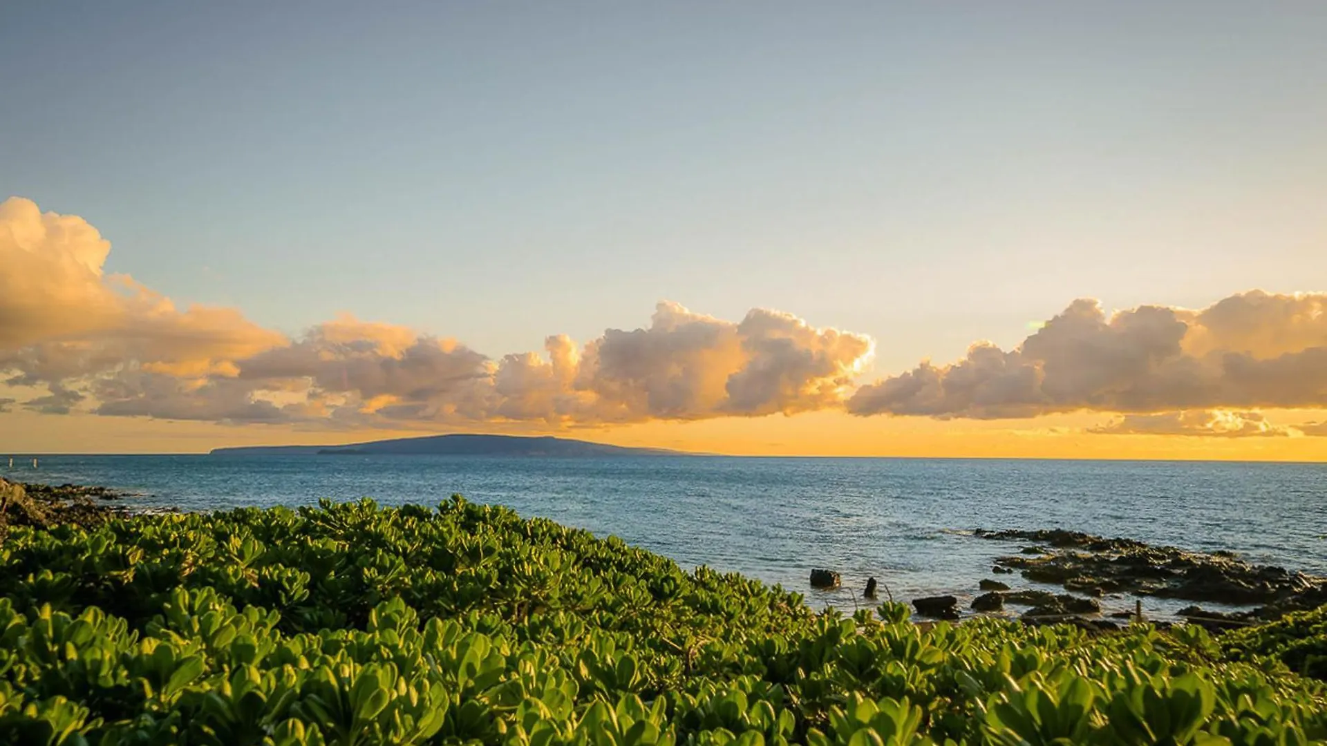Maui Kamaole C-208 Appartement Wailea  Verenigde Staten